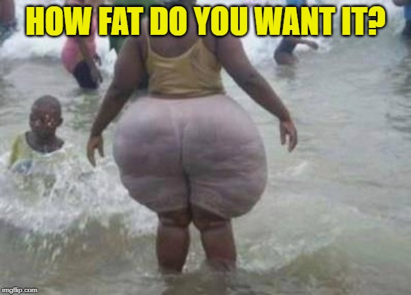 Big butt | HOW FAT DO YOU WANT IT? | image tagged in big butt | made w/ Imgflip meme maker