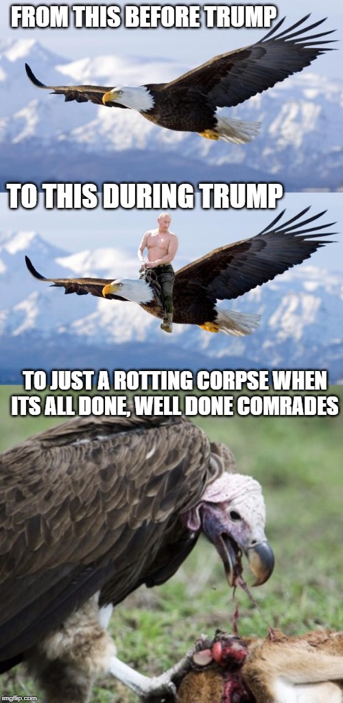 If you dont think America has become a sad joke to the world, you should get out more. | FROM THIS BEFORE TRUMP; TO THIS DURING TRUMP; TO JUST A ROTTING CORPSE WHEN ITS ALL DONE, WELL DONE COMRADES | image tagged in vulture,maga,impeach trump,crooked,memes,politics | made w/ Imgflip meme maker