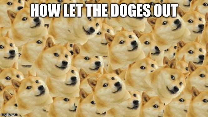 Multi Doge Meme | HOW LET THE DOGES OUT | image tagged in memes,multi doge | made w/ Imgflip meme maker