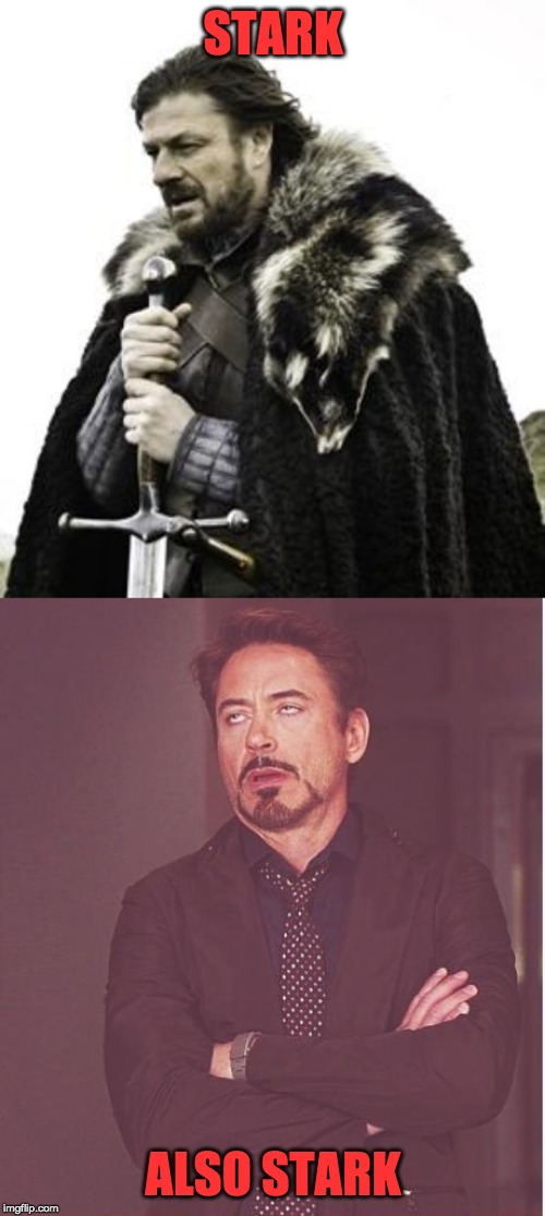 STARK ALSO STARK | image tagged in ned stark,memes,face you make robert downey jr | made w/ Imgflip meme maker