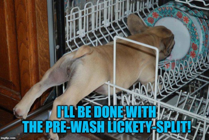 Gotta make sure no stubborn crumbs are left behind! | I'LL BE DONE WITH THE PRE-WASH LICKETY-SPLIT! | image tagged in nixieknox,memes,the dishes are done man | made w/ Imgflip meme maker