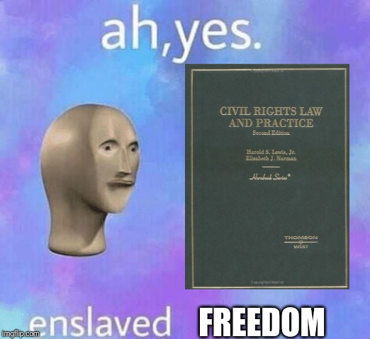 Ah Yes enslaved | FREEDOM | image tagged in ah yes enslaved | made w/ Imgflip meme maker