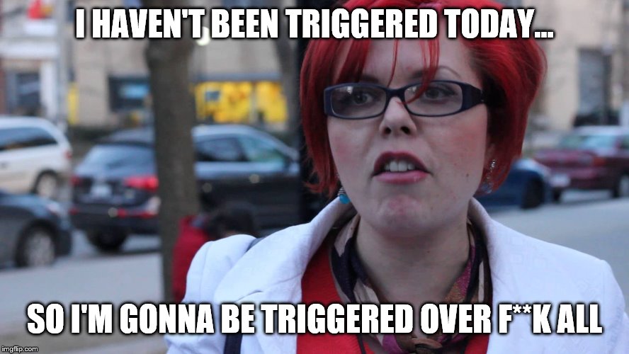 Feminazi | I HAVEN'T BEEN TRIGGERED TODAY... SO I'M GONNA BE TRIGGERED OVER F**K ALL | image tagged in feminazi | made w/ Imgflip meme maker