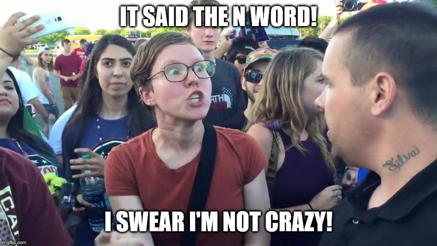 Triggered Feminazi | IT SAID THE N WORD! I SWEAR I'M NOT CRAZY! | image tagged in triggered feminazi | made w/ Imgflip meme maker