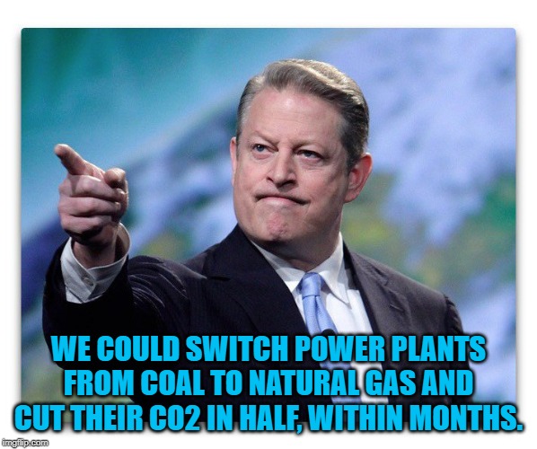 Al Gore | WE COULD SWITCH POWER PLANTS FROM COAL TO NATURAL GAS AND CUT THEIR CO2 IN HALF, WITHIN MONTHS. | image tagged in al gore | made w/ Imgflip meme maker