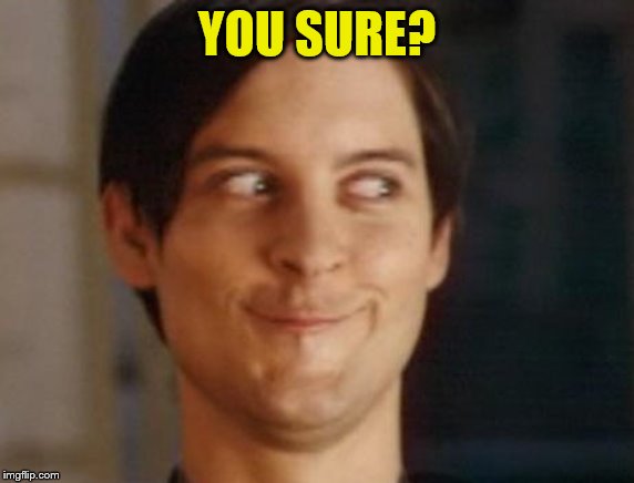Spiderman Peter Parker Meme | YOU SURE? | image tagged in memes,spiderman peter parker | made w/ Imgflip meme maker