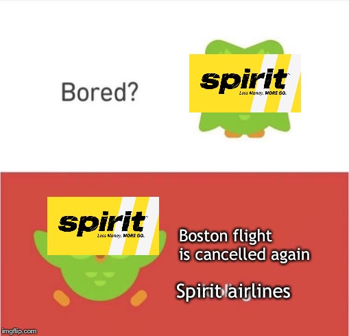 Bored Duolingo | Boston flight is cancelled again; Spirit airlines | image tagged in bored duolingo | made w/ Imgflip meme maker