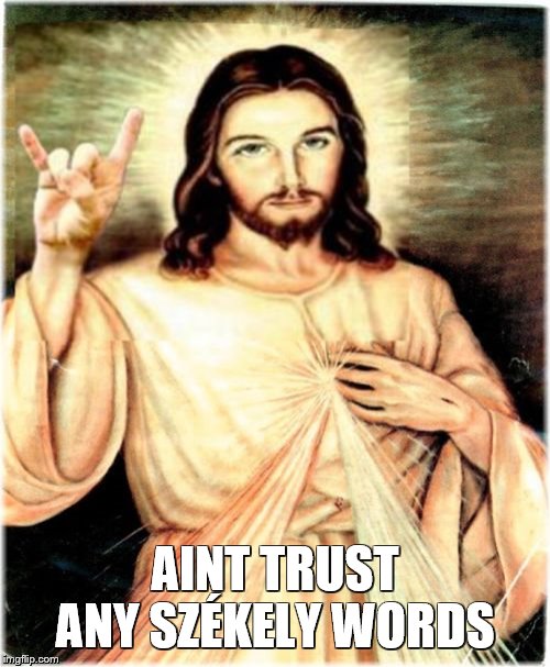 Metal Jesus Meme | AINT TRUST ANY SZÉKELY WORDS | image tagged in memes,metal jesus | made w/ Imgflip meme maker