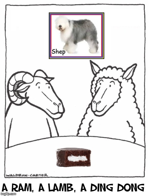 Who Woulda Thunk that's What They Meant?! | Shep; A RAM, A LAMB, A DING DONG | image tagged in vince vance,1950s,oldies,rama lama ding-dong,the earls,do wop skat | made w/ Imgflip meme maker