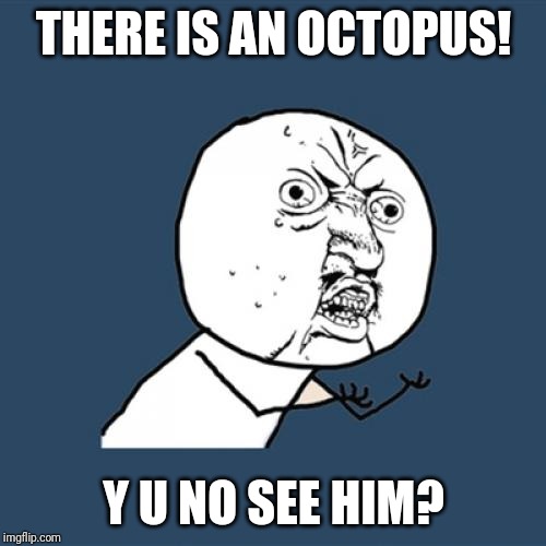 Y U No | THERE IS AN OCTOPUS! Y U NO SEE HIM? | image tagged in memes,y u no | made w/ Imgflip meme maker