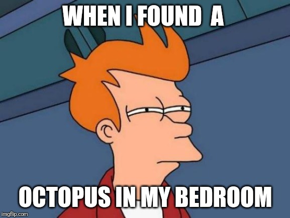 Futurama Fry Meme | WHEN I FOUND  A; OCTOPUS IN MY BEDROOM | image tagged in memes,futurama fry | made w/ Imgflip meme maker
