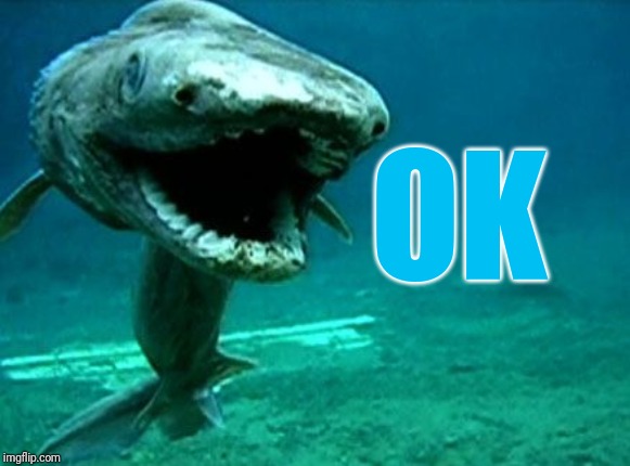 Frilled shark | OK | image tagged in frilled shark | made w/ Imgflip meme maker