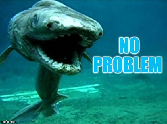 Frilled shark | NO PROBLEM | image tagged in frilled shark | made w/ Imgflip meme maker