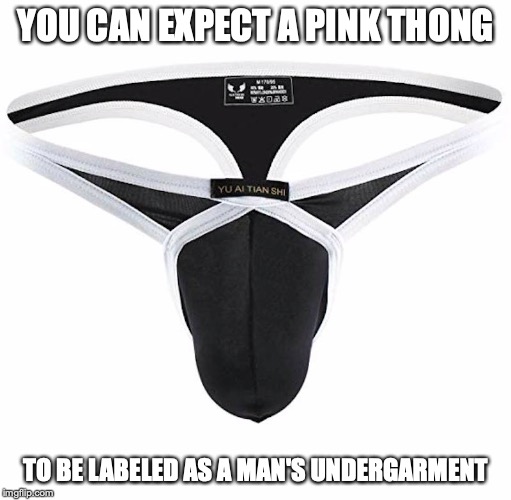Man Thong | YOU CAN EXPECT A PINK THONG; TO BE LABELED AS A MAN'S UNDERGARMENT | image tagged in clothing,thong,memes | made w/ Imgflip meme maker