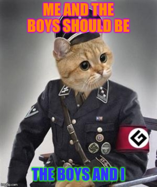 Grammar Nazi Cat | ME AND THE BOYS SHOULD BE; THE BOYS AND I | image tagged in grammar nazi cat | made w/ Imgflip meme maker