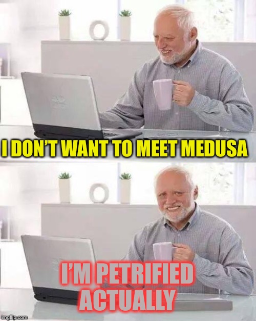Hide the Pain Harold Meme | I DON’T WANT TO MEET MEDUSA I’M PETRIFIED ACTUALLY | image tagged in memes,hide the pain harold | made w/ Imgflip meme maker