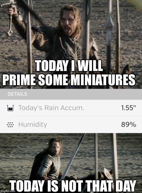 Time to be producti... never mind... | TODAY I WILL PRIME SOME MINIATURES; TODAY IS NOT THAT DAY | image tagged in miniatures,weather,procrastination,warhammer 40k | made w/ Imgflip meme maker