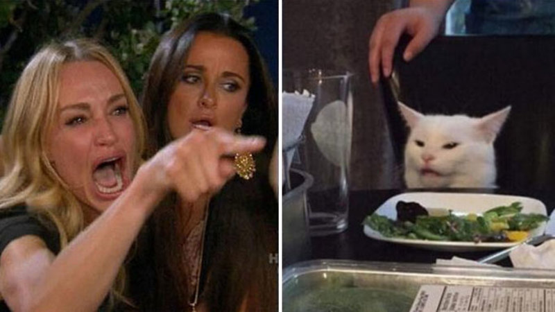 Woman yelling at white cat Blank Meme Template