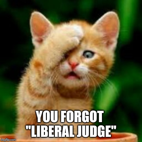 forgot cat | YOU FORGOT 
"LIBERAL JUDGE" | image tagged in forgot cat | made w/ Imgflip meme maker