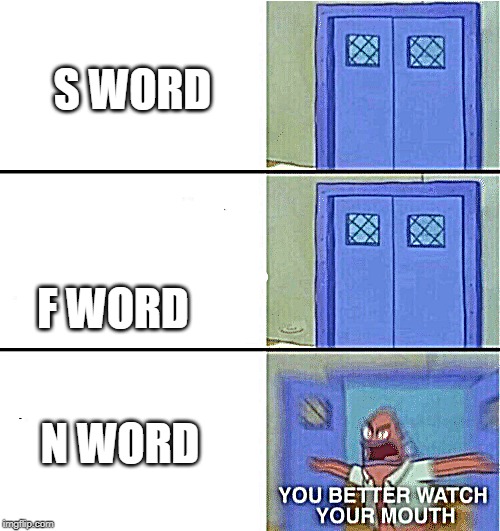 You better watch your mouth | S WORD; F WORD; N WORD | image tagged in you better watch your mouth | made w/ Imgflip meme maker