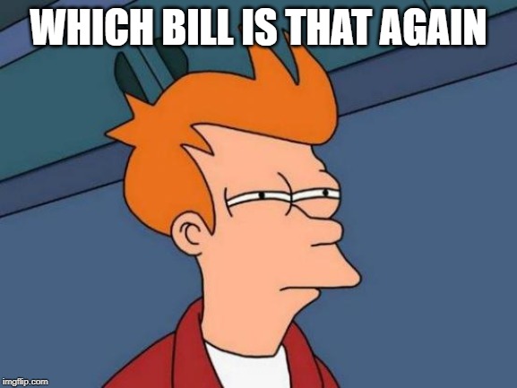 Futurama Fry Meme | WHICH BILL IS THAT AGAIN | image tagged in memes,futurama fry | made w/ Imgflip meme maker