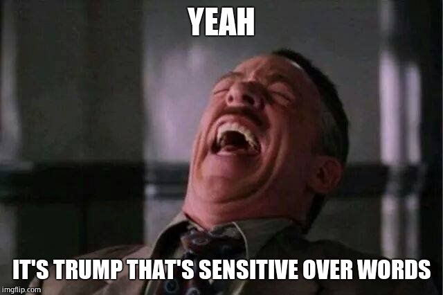 JJJ Laugh | YEAH IT'S TRUMP THAT'S SENSITIVE OVER WORDS | image tagged in jjj laugh | made w/ Imgflip meme maker