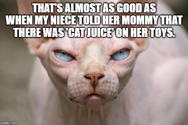 Evil Cat | THAT'S ALMOST AS GOOD AS WHEN MY NIECE TOLD HER MOMMY THAT THERE WAS 'CAT JUICE' ON HER TOYS. | image tagged in evil cat | made w/ Imgflip meme maker