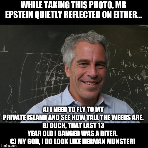 Epstein Had A Plan