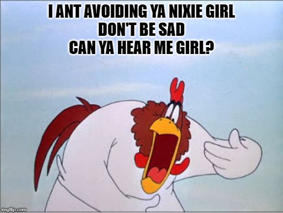 foghorn | I ANT AVOIDING YA NIXIE GIRL
DON'T BE SAD
CAN YA HEAR ME GIRL? | image tagged in foghorn | made w/ Imgflip meme maker