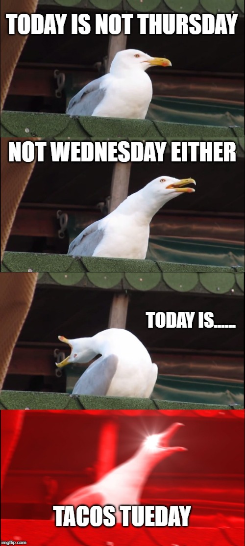 Inhaling Seagull Meme | TODAY IS NOT THURSDAY; NOT WEDNESDAY EITHER; TODAY IS...... TACOS TUEDAY | image tagged in memes,inhaling seagull | made w/ Imgflip meme maker