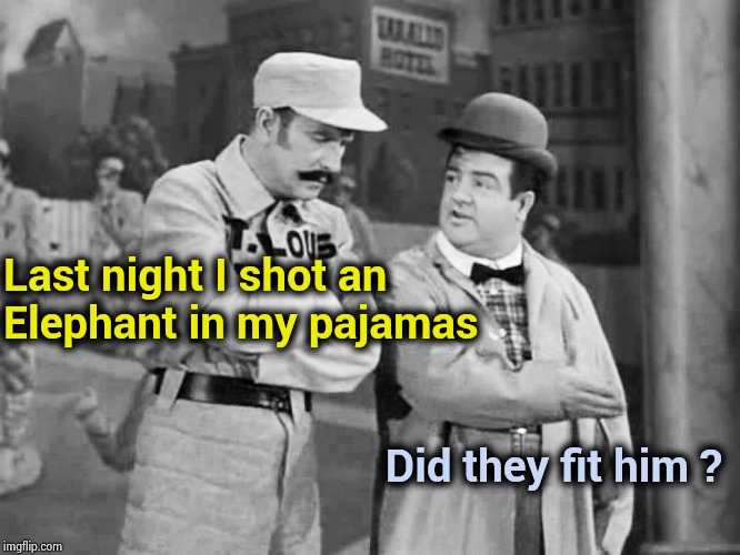 Abbott and Costello Who's on First | Last night I shot an
Elephant in my pajamas Did they fit him ? | image tagged in abbott and costello who's on first | made w/ Imgflip meme maker