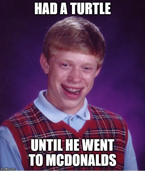 Bad Luck Brian | HAD A TURTLE; UNTIL HE WENT TO MCDONALDS | image tagged in memes,bad luck brian | made w/ Imgflip meme maker