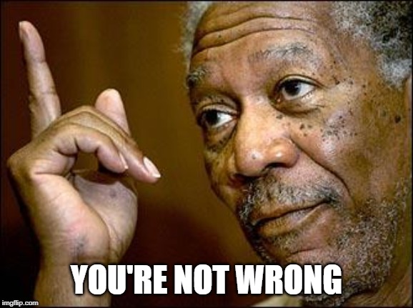 This Morgan Freeman | YOU'RE NOT WRONG | image tagged in this morgan freeman | made w/ Imgflip meme maker