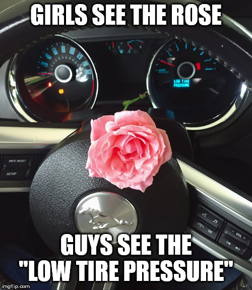 GIRLS SEE THE ROSE; GUYS SEE THE "LOW TIRE PRESSURE" | image tagged in men vs women | made w/ Imgflip meme maker