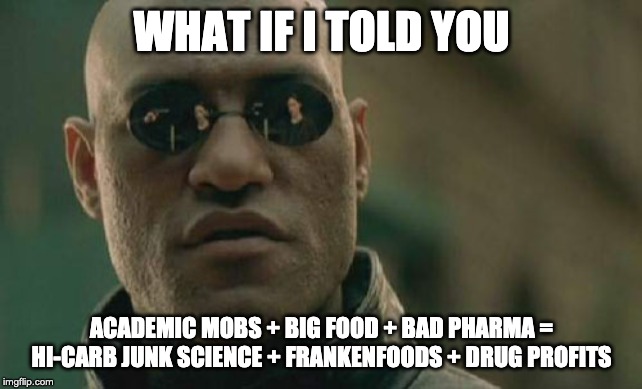 Matrix Morpheus Meme | WHAT IF I TOLD YOU; ACADEMIC MOBS + BIG FOOD + BAD PHARMA = HI-CARB JUNK SCIENCE + FRANKENFOODS + DRUG PROFITS | image tagged in memes,matrix morpheus | made w/ Imgflip meme maker