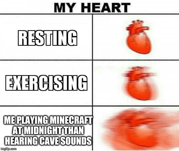 MY HEART | ME PLAYING MINECRAFT AT MIDNIGHT THAN HEARING CAVE SOUNDS | image tagged in my heart | made w/ Imgflip meme maker
