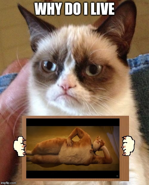 Grumpy Cat Cardboard Sign | WHY DO I LIVE | image tagged in grumpy cat cardboard sign | made w/ Imgflip meme maker
