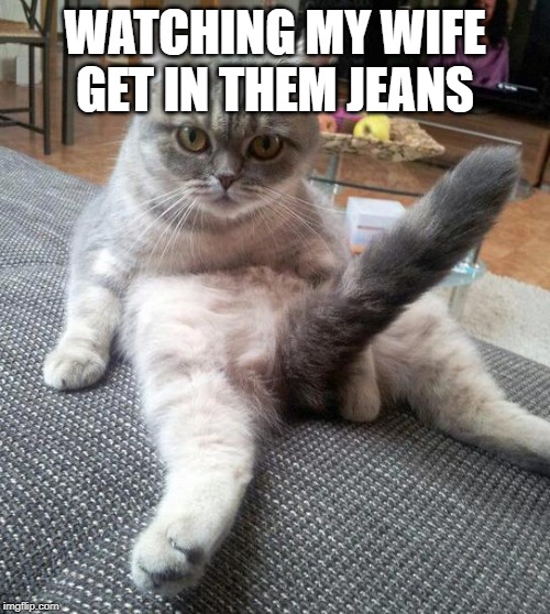 Sexy Cat | WATCHING MY WIFE GET IN THEM JEANS | image tagged in memes,sexy cat | made w/ Imgflip meme maker
