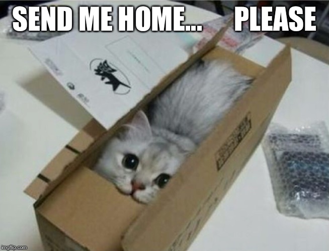 SEND ME HOME...      PLEASE | made w/ Imgflip meme maker