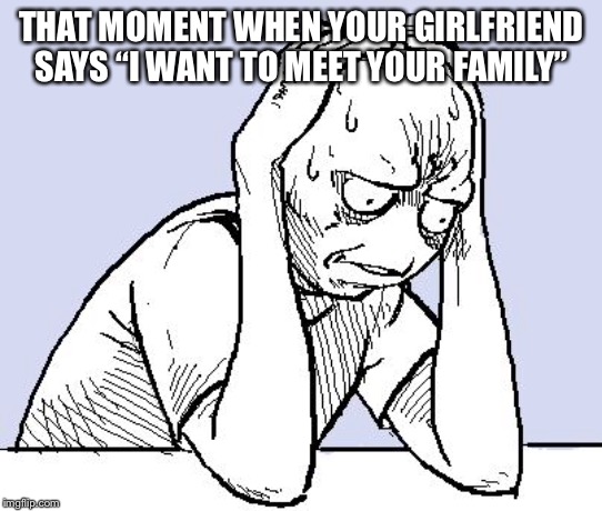 Meeting the family | THAT MOMENT WHEN YOUR GIRLFRIEND SAYS “I WANT TO MEET YOUR FAMILY” | image tagged in stressed meme | made w/ Imgflip meme maker
