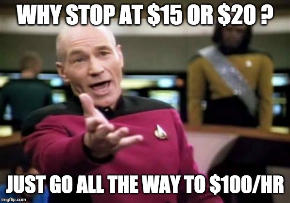 Picard Wtf Meme | WHY STOP AT $15 OR $20 ? JUST GO ALL THE WAY TO $100/HR | image tagged in memes,picard wtf | made w/ Imgflip meme maker