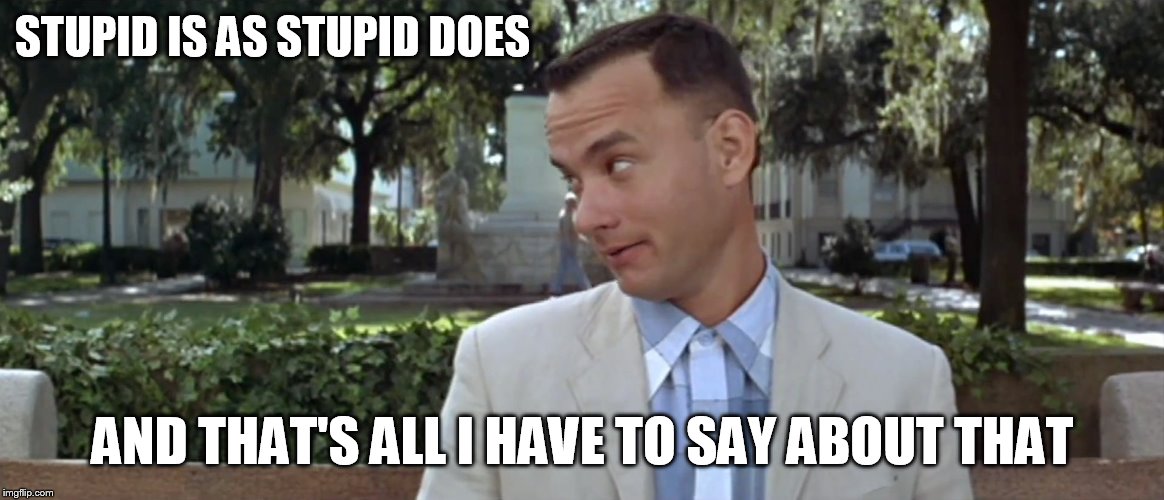 Forest Gump |  STUPID IS AS STUPID DOES; AND THAT'S ALL I HAVE TO SAY ABOUT THAT | image tagged in forest gump | made w/ Imgflip meme maker