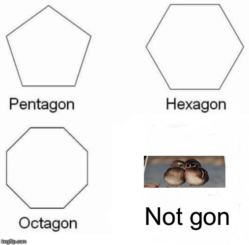 Pentagon Hexagon Octagon | Not gon | image tagged in memes,pentagon hexagon octagon | made w/ Imgflip meme maker