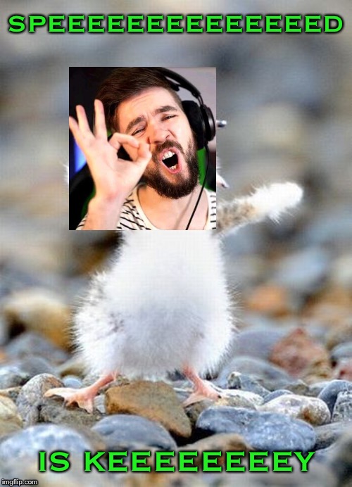 Screaming Bird | SPEEEEEEEEEEEEEED; IS KEEEEEEEEY | image tagged in screaming bird | made w/ Imgflip meme maker
