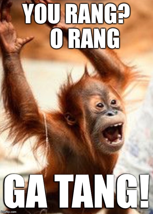 YOU RANG?     O RANG; GA TANG! | made w/ Imgflip meme maker