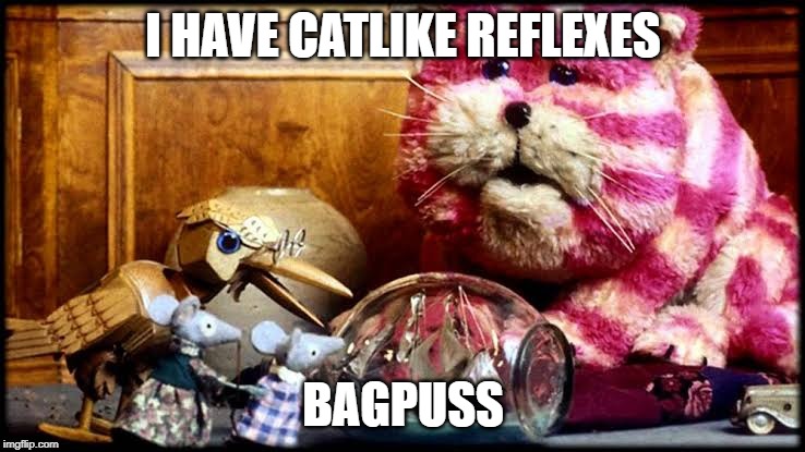 Bagpuss | I HAVE CATLIKE REFLEXES; BAGPUSS | image tagged in bagpuss | made w/ Imgflip meme maker