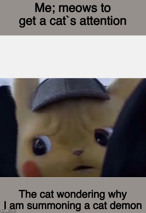 Detective Pikachu | Me; meows to get a cat`s attention; The cat wondering why I am summoning a cat demon | image tagged in detective pikachu | made w/ Imgflip meme maker
