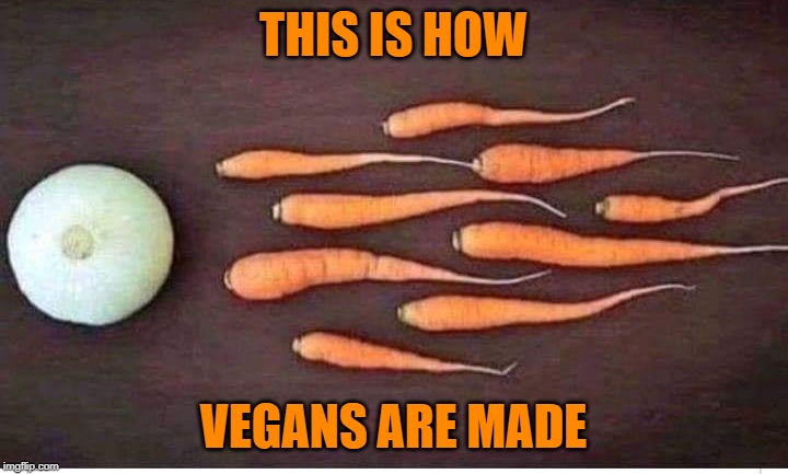 Vegans | THIS IS HOW; VEGANS ARE MADE | image tagged in vegans | made w/ Imgflip meme maker