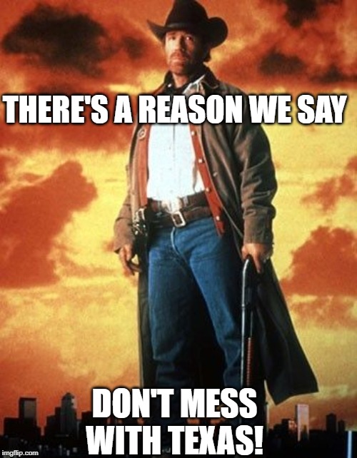walker texas ranger | THERE'S A REASON WE SAY DON'T MESS WITH TEXAS! | image tagged in walker texas ranger | made w/ Imgflip meme maker