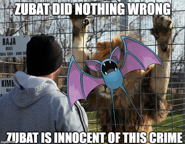 Zubat | ZUBAT DID NOTHING WRONG; ZUBAT IS INNOCENT OF THIS CRIME | image tagged in pokemon | made w/ Imgflip meme maker